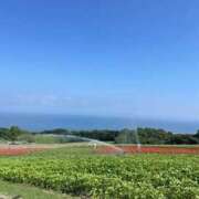ヒメ日記 2026/08/06 00:01 投稿 まゆ スピードエコ梅田店