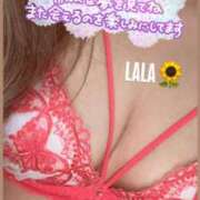 ヒメ日記 2025/08/30 21:30 投稿 らら ハイ・チュッ