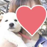 ヒメ日記 2025/06/30 10:48 投稿 野呂 川越勃たせる妻たち