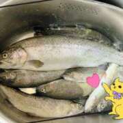 ヒメ日記 2025/08/12 19:38 投稿 野呂 川越勃たせる妻たち