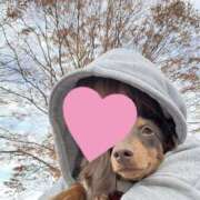 ヒメ日記 2025/11/23 17:48 投稿 野呂 川越勃たせる妻たち