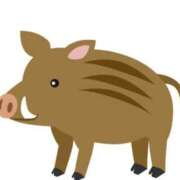 ヒメ日記 2025/06/23 07:00 投稿 Haru【ハル】 Club Lumine(中津)