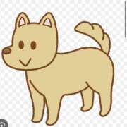 ヒメ日記 2025/06/26 08:00 投稿 Haru【ハル】 Club Lumine(中津)