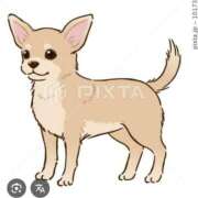 ヒメ日記 2025/06/28 04:00 投稿 Haru【ハル】 Club Lumine(中津)