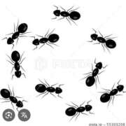 ヒメ日記 2025/07/02 20:01 投稿 Haru【ハル】 Club Lumine(中津)