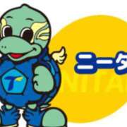 ヒメ日記 2025/07/08 10:00 投稿 Haru【ハル】 Club Lumine(中津)