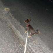 ヒメ日記 2025/07/20 04:18 投稿 Haru【ハル】 Club Lumine(中津)