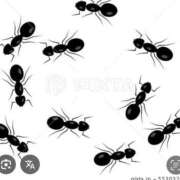 ヒメ日記 2025/07/20 23:15 投稿 Haru【ハル】 Club Lumine(中津)