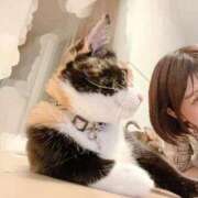 ヒメ日記 2025/07/21 13:01 投稿 Haru【ハル】 Club Lumine(中津)