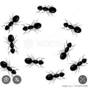 ヒメ日記 2025/07/28 14:39 投稿 Haru【ハル】 Club Lumine(中津)