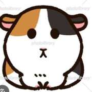 ヒメ日記 2025/08/01 07:00 投稿 Haru【ハル】 Club Lumine(中津)