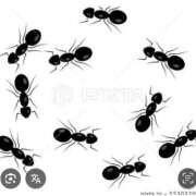 ヒメ日記 2025/08/04 15:45 投稿 Haru【ハル】 Club Lumine(中津)