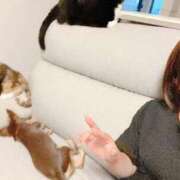 ヒメ日記 2025/08/04 17:01 投稿 Haru【ハル】 Club Lumine(中津)