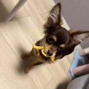 ヒメ日記 2025/08/08 06:59 投稿 Haru【ハル】 Club Lumine(中津)