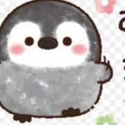 ヒメ日記 2025/08/09 11:00 投稿 Haru【ハル】 Club Lumine(中津)