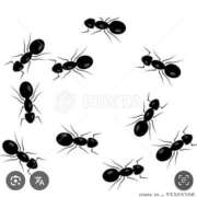 ヒメ日記 2025/08/12 18:01 投稿 Haru【ハル】 Club Lumine(中津)