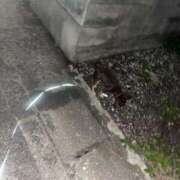 ヒメ日記 2025/08/14 04:53 投稿 Haru【ハル】 Club Lumine(中津)