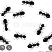 ヒメ日記 2025/08/17 20:01 投稿 Haru【ハル】 Club Lumine(中津)