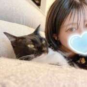 ヒメ日記 2025/08/22 16:00 投稿 Haru【ハル】 Club Lumine(中津)