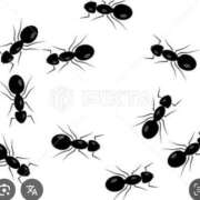 ヒメ日記 2025/08/24 17:00 投稿 Haru【ハル】 Club Lumine(中津)