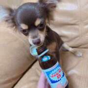 ヒメ日記 2025/08/25 17:01 投稿 Haru【ハル】 Club Lumine(中津)