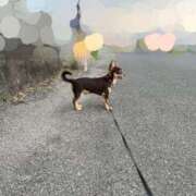 ヒメ日記 2025/08/27 06:18 投稿 Haru【ハル】 Club Lumine(中津)