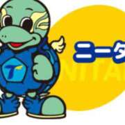 ヒメ日記 2025/09/09 09:00 投稿 Haru【ハル】 Club Lumine(中津)