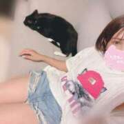 ヒメ日記 2025/09/10 11:00 投稿 Haru【ハル】 Club Lumine(中津)