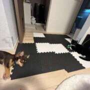 ヒメ日記 2025/09/11 13:01 投稿 Haru【ハル】 Club Lumine(中津)