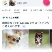 ヒメ日記 2025/09/18 17:02 投稿 Haru【ハル】 Club Lumine(中津)