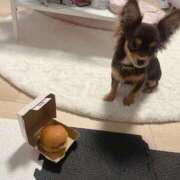 ヒメ日記 2025/09/25 20:09 投稿 Haru【ハル】 Club Lumine(中津)