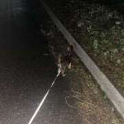 ヒメ日記 2025/09/26 05:08 投稿 Haru【ハル】 Club Lumine(中津)