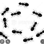 ヒメ日記 2025/09/29 15:35 投稿 Haru【ハル】 Club Lumine(中津)