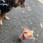 ヒメ日記 2025/10/02 13:01 投稿 Haru【ハル】 Club Lumine(中津)