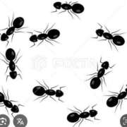 ヒメ日記 2025/10/07 11:00 投稿 Haru【ハル】 Club Lumine(中津)