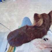 ヒメ日記 2025/10/15 13:01 投稿 Haru【ハル】 Club Lumine(中津)