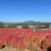 ヒメ日記 2025/10/15 16:06 投稿 Haru【ハル】 Club Lumine(中津)