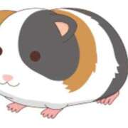 ヒメ日記 2025/10/19 08:00 投稿 Haru【ハル】 Club Lumine(中津)