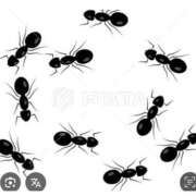 ヒメ日記 2025/10/19 19:00 投稿 Haru【ハル】 Club Lumine(中津)