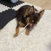 ヒメ日記 2025/10/22 05:51 投稿 Haru【ハル】 Club Lumine(中津)