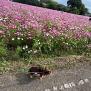 ヒメ日記 2025/10/23 13:12 投稿 Haru【ハル】 Club Lumine(中津)