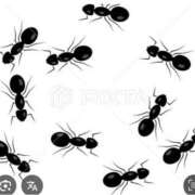 ヒメ日記 2025/10/23 15:02 投稿 Haru【ハル】 Club Lumine(中津)