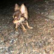 ヒメ日記 2025/10/24 05:31 投稿 Haru【ハル】 Club Lumine(中津)