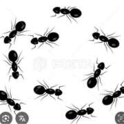 ヒメ日記 2025/10/24 14:00 投稿 Haru【ハル】 Club Lumine(中津)