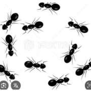 ヒメ日記 2025/10/29 23:15 投稿 Haru【ハル】 Club Lumine(中津)