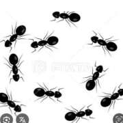 ヒメ日記 2025/11/02 22:00 投稿 Haru【ハル】 Club Lumine(中津)