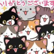 ヒメ日記 2025/11/03 08:00 投稿 Haru【ハル】 Club Lumine(中津)