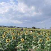 ヒメ日記 2025/11/05 14:01 投稿 Haru【ハル】 Club Lumine(中津)