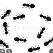 ヒメ日記 2025/11/05 18:01 投稿 Haru【ハル】 Club Lumine(中津)