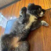 ヒメ日記 2025/11/06 13:01 投稿 Haru【ハル】 Club Lumine(中津)